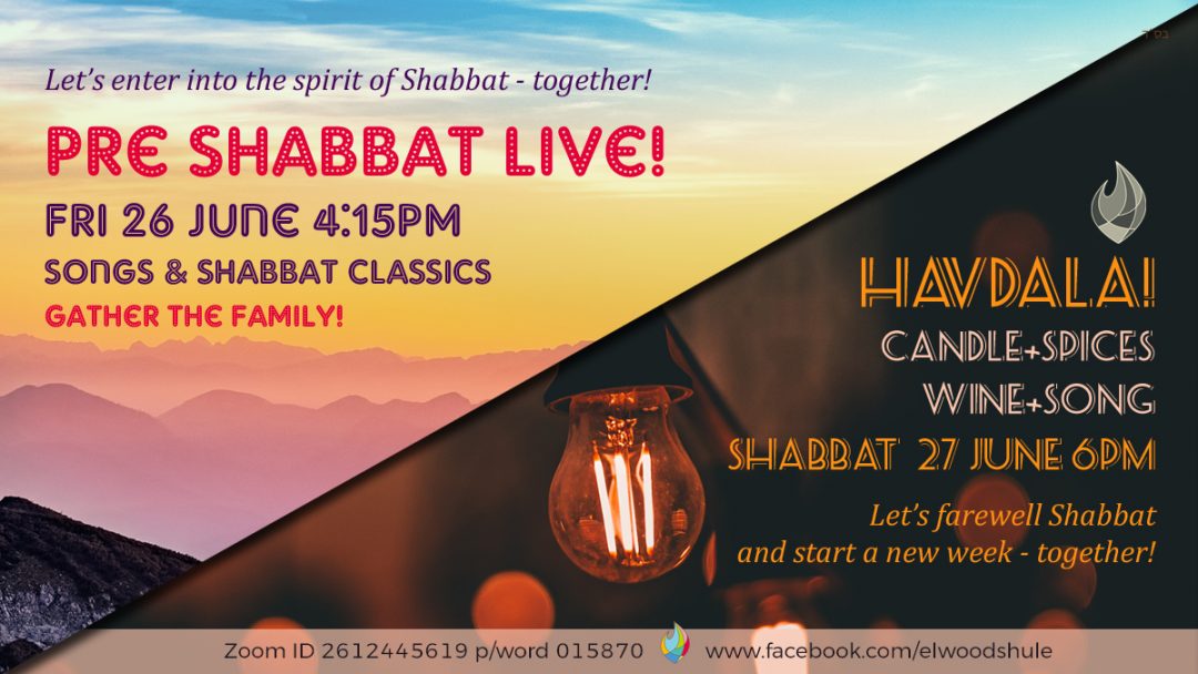 Shabbat Havdala Live copy