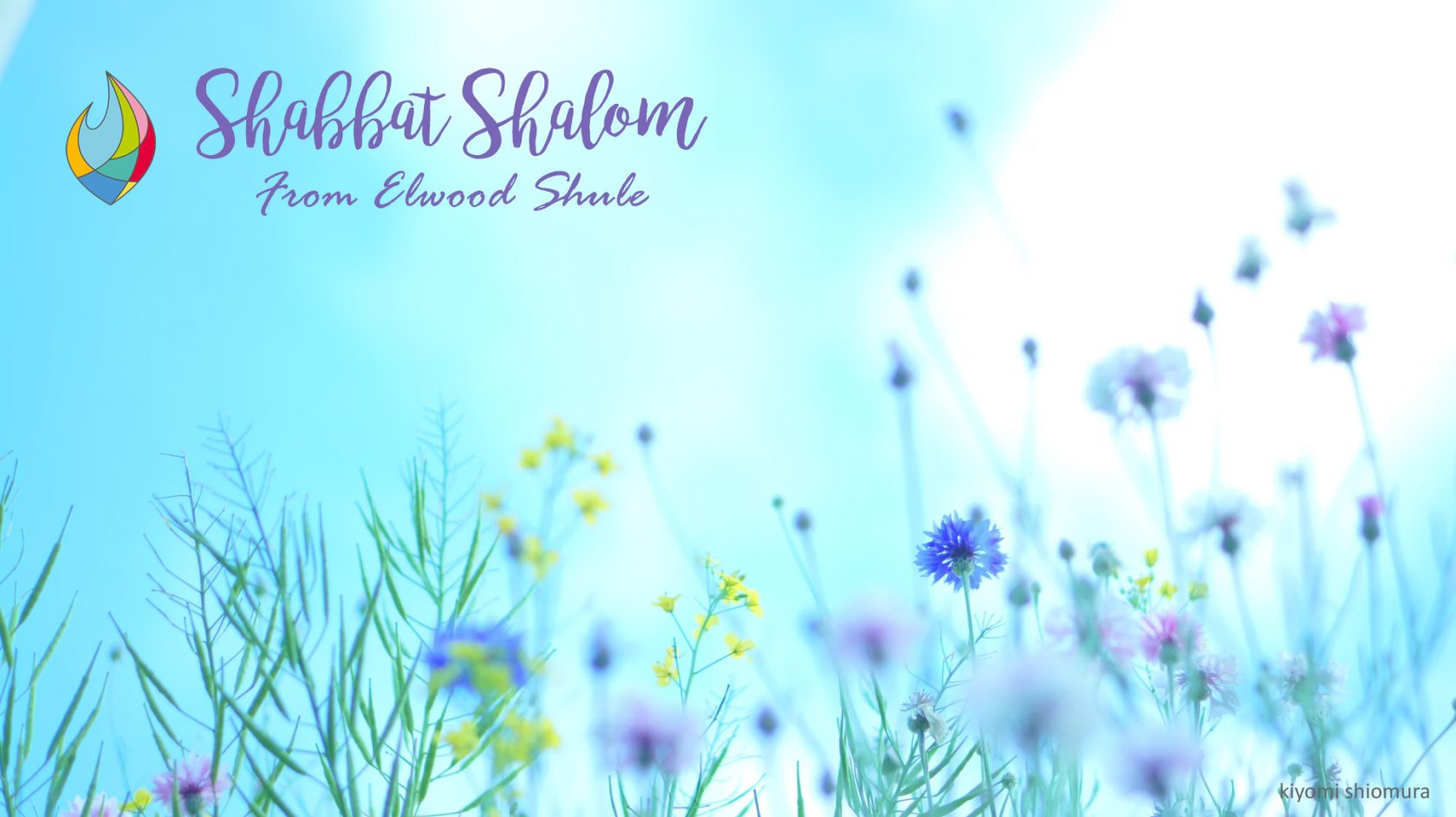 Shabbat Shalom FB 2