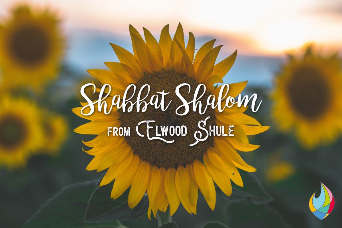 Shabbat Shalom FB