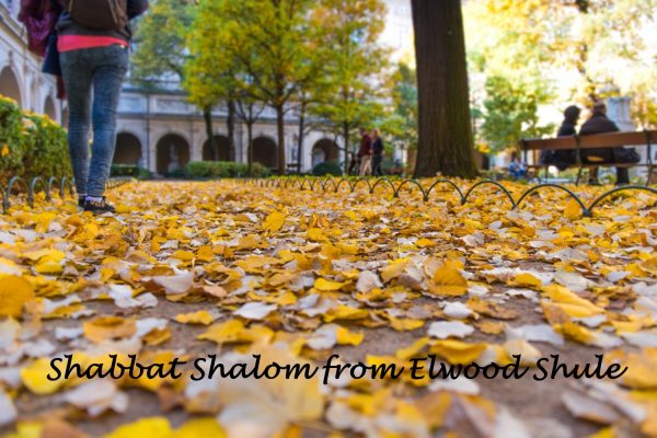 autumn-leaves-floor-shabbat-shalom-2