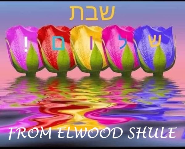shabbat-shalom-055-elwood-shule